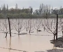 风云突变！罗马冲刺阶段再遭质疑，荷甲版图或变，更衣室稳定，控场能力受关注的简单介绍